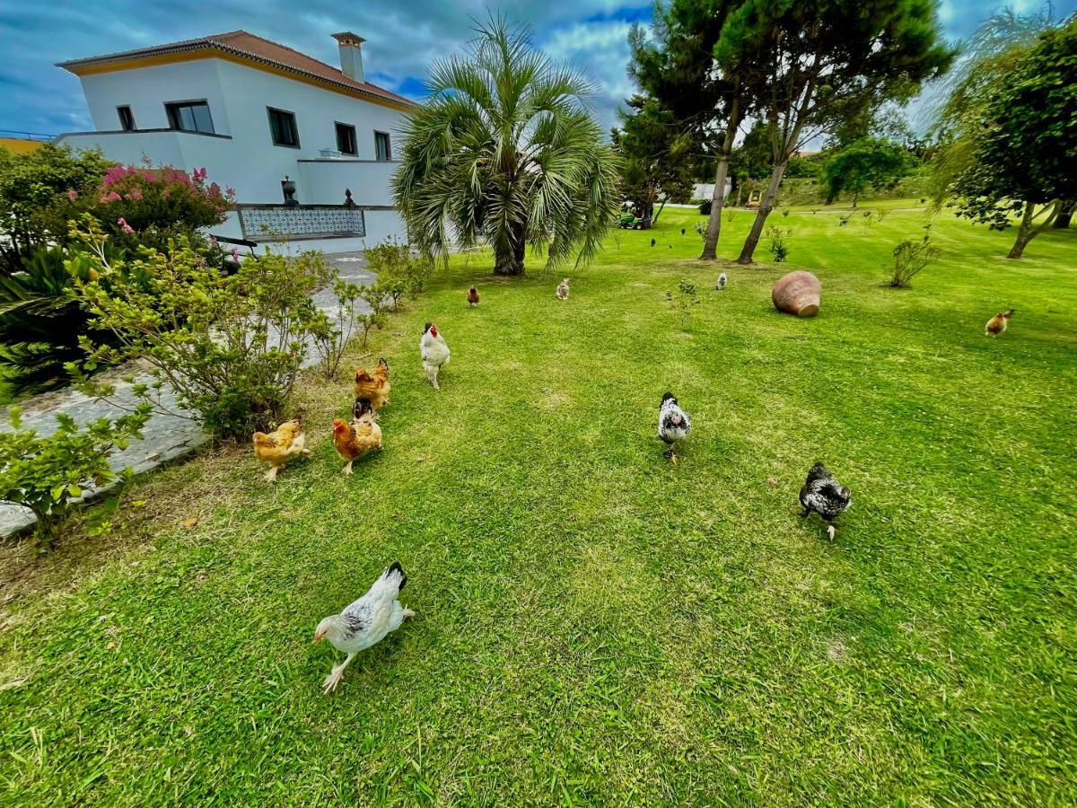 Solar Pontes Guest House Capelas Exterior photo